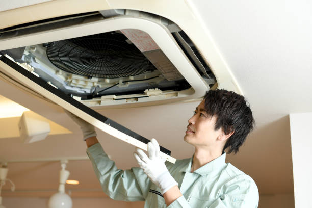 Best Ductwork Cleaning Services  in Earlysville, VA